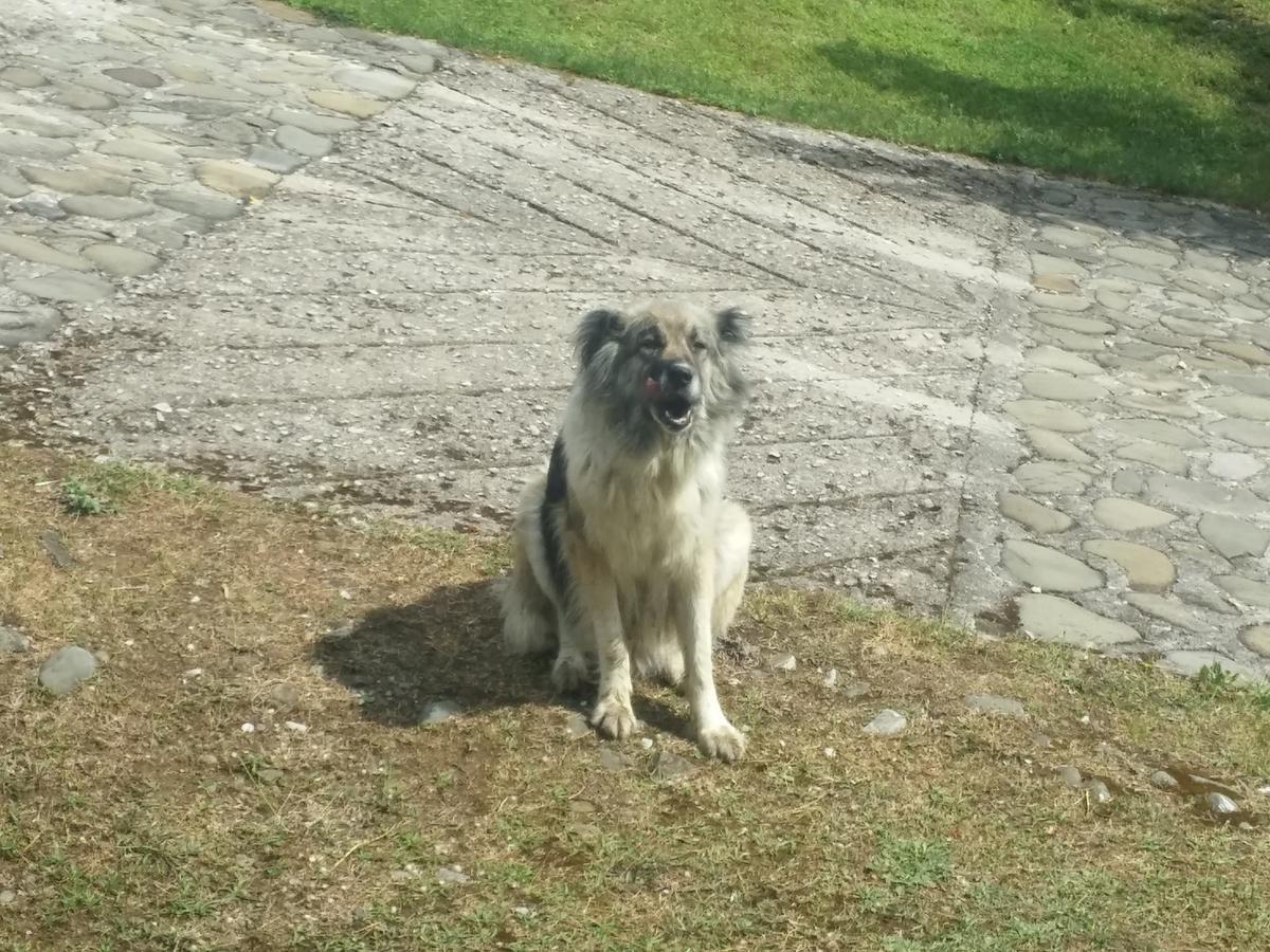 Livadaki Village Megali Kapsi Luaran gambar