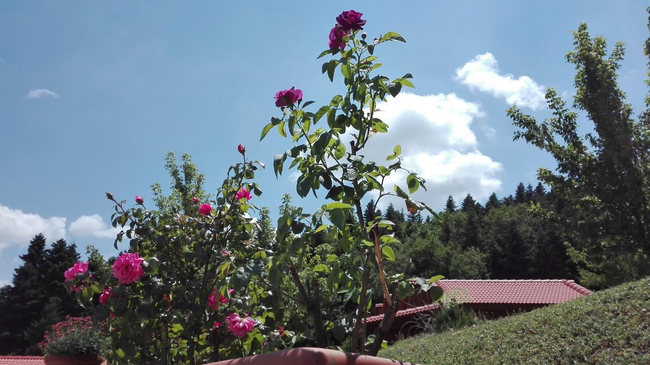 Livadaki Village Megali Kapsi Luaran gambar